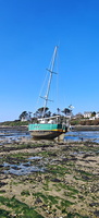 IMG-20250304-WA0095