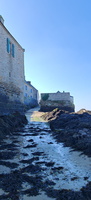 IMG-20250304-WA0092