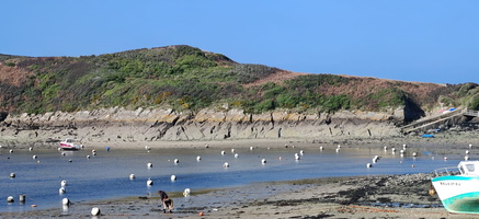 IMG-20250304-WA0081