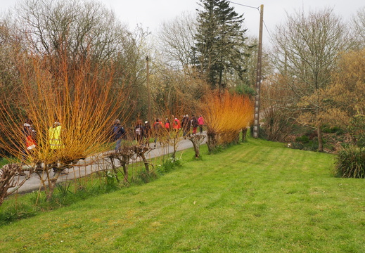 20250311  - 62 - CHAPELLE DE KERLANOU