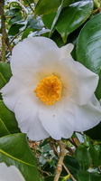 IMG-20250311-WA0033