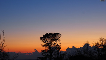 P3147651.JPG