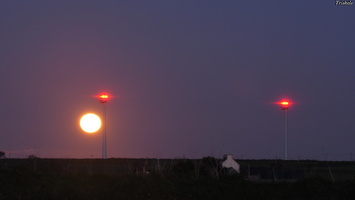 P3147665.JPG