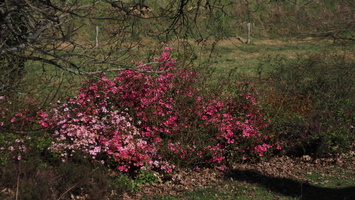 P3187698.JPG