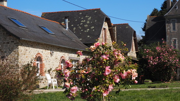 P3187703.JPG