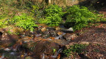 P3187716.JPG