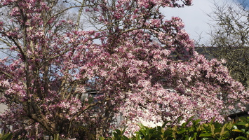 P3187722.JPG