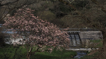 P3187727.JPG