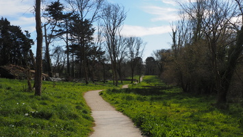 P3187730.JPG