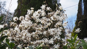 P3187738.JPG