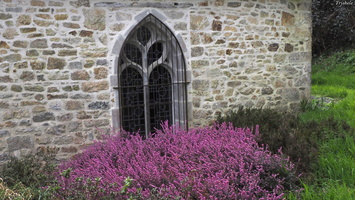 P3187745.JPG