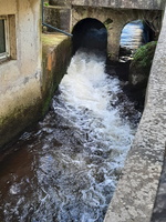 IMG-20250316-WA0004