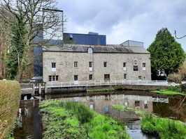 IMG-20250316-WA0003