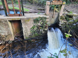 IMG-20250316-WA0000