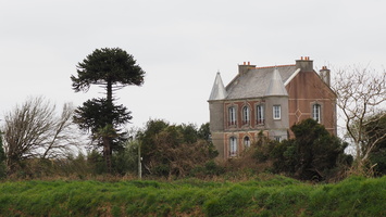 P3257757.JPG