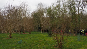 P3257764.JPG