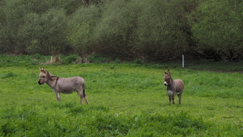 P3257768.JPG