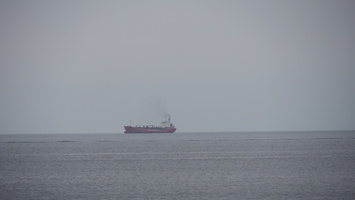 P3257776.JPG