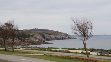 P3257779.JPG