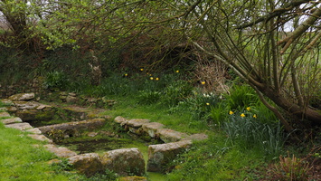 P3257784.JPG