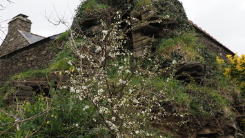 P3257786.JPG
