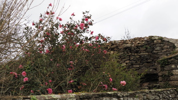 P3257788.JPG