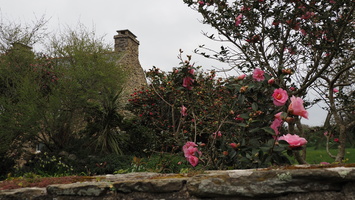 P3257789.JPG