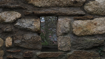 P3257790.JPG