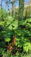 IMG-20250408-WA0002