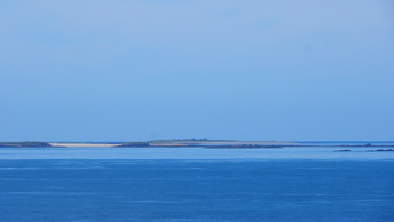 P4198045.JPG