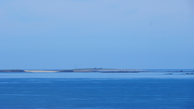 P4198045.JPG