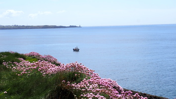 P4198049.JPG