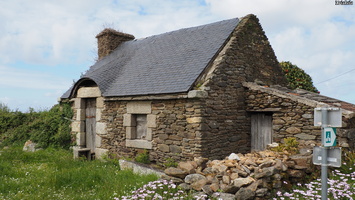 P4228157.JPG