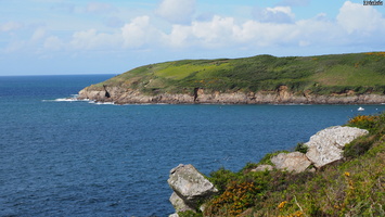 P4228169.JPG