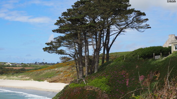 P4228175.JPG