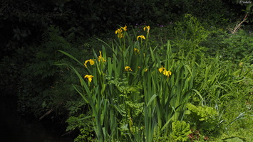 P4228182.JPG