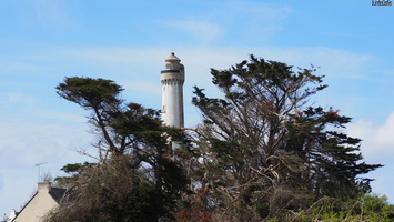 P4228185.JPG