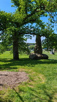IMG-20250429-WA0016