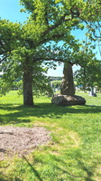 IMG-20250429-WA0015