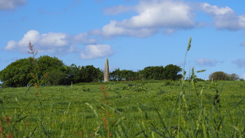 P5068483.JPG