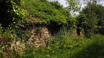 P5068536.JPG