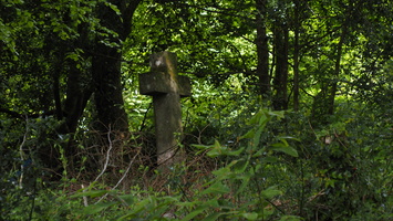 P5068555.JPG
