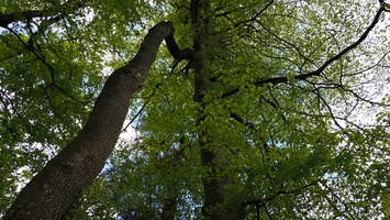 P5068567.JPG