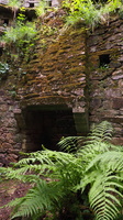 P5068584.JPG