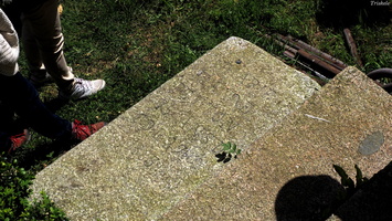 P5068671.JPG