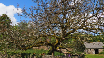 P5068681.JPG