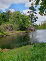 IMG-20250506-WA0001