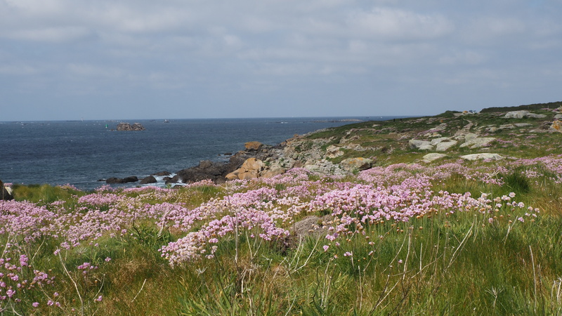 P5098750.JPG