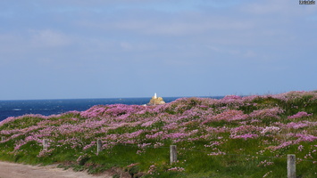 P5098760.JPG