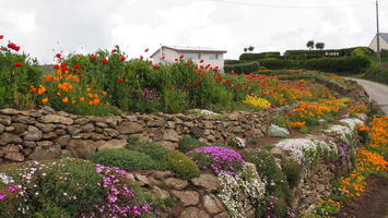 P5138841.JPG